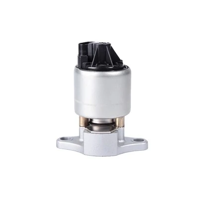 17099322 Supapa EGR diesel pentru CHEVROLET BorgWarner:EGR1282